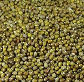 緑豆 400g