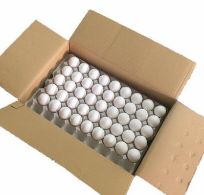 玉子 10kg