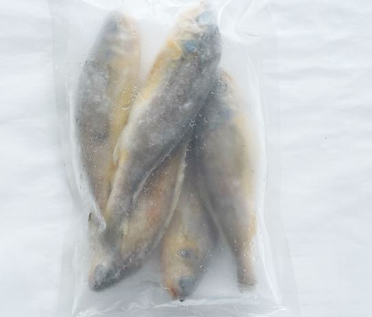 冷 黄花魚(キグチ) 350g