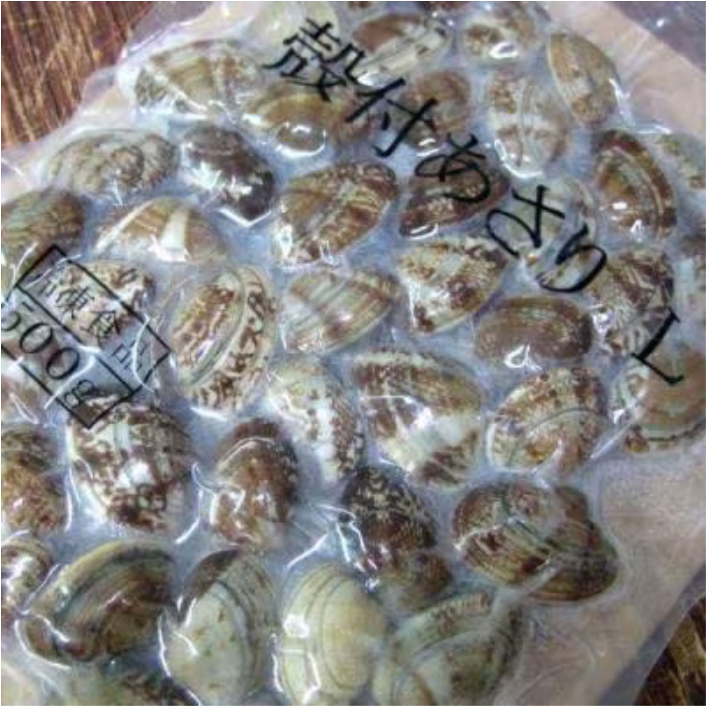 殻付きアサリ